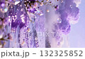 Dreamy soft purple sky and floating on the sparkling crystal lake 132325852