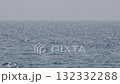 Beautiful sparkling sun reflections on light blue water surface. Continuously changing wavy sea surface with horizon for background. Neutral mirror effect, sun glittering around on the beach. 132332288