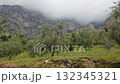 Mountain landscape with fog and spring vegetation near Limone Sul Garda Italy 132345321