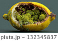 Decaying lemon with green fungus 132345837