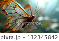 Butterfly with parasite orange 132345842
