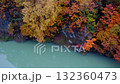 Autumn leaves reflected on the river surface 132360473