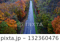 Rainy autumn leaves 132360476