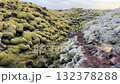 Mossy lava fields and natural scenery in Eldhraun, Iceland Mossy lava fields and natural scenery in Eldhraun, Iceland 132378288