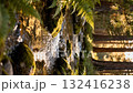 The clear water of the forest stream flows over the mossy stones 132416238