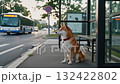 A meeting with a Shiba Inu!? A day to meet Shiba Rakuburi for a while 132422802
