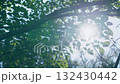 陽光透過樹木，夏日圖像，修復 132430442
