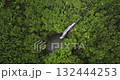 Fiji, Nadi Waterfall: Green vegetation and tranquil pond nourished by a cascading waterfall in a serene tropical rainforest, captured from above. Wild nature landscape. Drone flight footage zoom out Fiji, Nadi Waterfall: Green vegetation and tranquil pond nourished by a cascading waterfall in a serene tropical rainforest, captured from above. Wild nature landscape. Drone flight footage zoom out 132444253