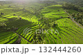 Bali island iconic rice terraces forming a vibrant green agricultural landscape, island traditional farming fields methods and lush tropical nature at sunset light. Aerial view drone flight panorama Bali island iconic rice terraces forming a vibrant green agricultural landscape, island traditional farming fields methods and lush tropical nature at sunset light. Aerial view drone flight panorama 132444260