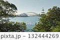Sydney Opera House and Harbor Bridge, framed by vibrant green trees and foliage, capturing an iconic view of bustling city dominate harbor skyline. Park and modern architecture. Drone flight footage Sydney Opera House and Harbor Bridge, framed by vibrant green trees and foliage, capturing an iconic view of bustling city dominate harbor skyline. Park and modern architecture. Drone flight footage 132444269