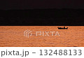 Fishing near the coast. Fisherman in a fishing boat sailing on the sea in orange sunset lights. People at work concept. Beautiful autumn evening, calm ocean scenery with mountains in the background. 132488133