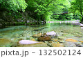 栃木県那須塩原市　木の俣園地を流れる木の俣川と巨岩吊橋 132502124