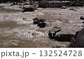 Mae Taeng River Rapids Flowing Over Rocks, Chiang Mai 132524728