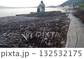 A girl sits on the seashore in spring and throws stones into the sea. After an evening jog, a female athlete relaxes by the sea. Yachts are visible in the distance at the port 132532175