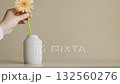 A woman's hand placing a gerbera in a vase A woman's hand placing a gerbera in a vase 132560276