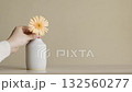 A woman's hand taking out a gerbera from a vase A woman's hand taking out a gerbera from a vase 132560277