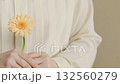 A woman holding a gerbera in both hands A woman holding a gerbera in both hands 132560279