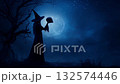 Halloween witch holding a skull standing over dead tree, stars, full moon and night sky, Halloween mystery concept, Generative AI 132574446