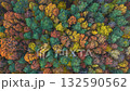 Aerial view of autumn forest with colorful foliage 132590562