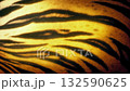 Tiger Body Breathing In Sun Glow 132590625