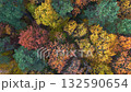 Top-down aerial view of a dense autumn forest filled with trees in shades of green, yellow, orange, red, and brown. The image captures the rich texture and vibrant colors of fall foliage 132590654