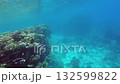 Experience the vibrant underwater world in a tropical location filled with stunning coral formations. Watch as marine life swims gracefully around the rocky landscape 132599822