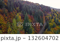 Aerial view of dense autumn forest canopy captured by drone in beautiful colors 132604702