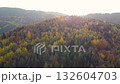 Colorful autumn forest in a mountainous area. A sunny day. Aerial view of the forest in the autumn season. Autumn landscape. High quality 4k footage 132604703
