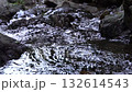 静岡県浜松市　秋の仙厳の滝　渓流スローモーション 132614543