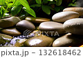 dawn nature landscape, tranquil morning setting showcasing dewy pebbles and vibrant plants, serene dawn scenery featuring shimmering stones and lush greenery with gentle flowing water 132618462