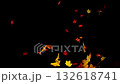Super slow motion of falling colorful autumn leaves on black background. Filmed on high speed cinema camera, 1000 fps. Super slow motion of falling colorful autumn leaves on black background. Filmed on high speed cinema camera, 1000 fps. 132618741