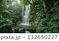 Explore the Serene Beauty of a Hidden Waterfall in a Lush Jungle During Midday 132650227