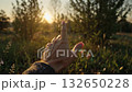 Hand Reaching for Sunlight in a Serene Outdoor Setting at Sunset 132650228
