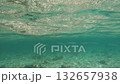 Underwater view of clear ocean with fish 132657938