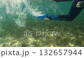 Underwater view of swimmer with blue flippers 132657944