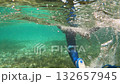 Underwater view of swimmer in blue wetsuit 132657945