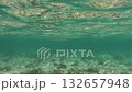 Underwater view of clear ocean surface and floor 132657948