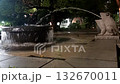 Fountain of Ueno Park 132670011