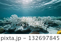 white dead coral reef underwater, climate change and global warming concept 4k 132697845