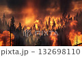 wooden forest in flame and fire burning, ecological disaster and climate change concept 4k 132698110