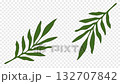 Minimalistic green tropical leaves on black background, elegant botanical animation for eco-design and nature branding. 132707842