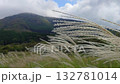 Hakone's silver grass fields 132781014
