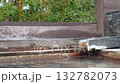Steam from the open-air hot spring bath 132782073
