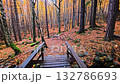 Sofia, Bulgaria 10.20.2025. Wooden bridge over a mountain stream in the autumn forest of Vitosha Natural Reserve. Peaceful fall scenery with bright foliage, rocks, and flowing water sound. 132786693
