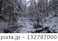 Winter forest with dark winding river cutting through snowy trees. Scenic view of frozen landscape in the mountains. 132787000