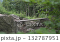 A bench in the middle of a dense forest with a view of the Karkonosze Mountains from the Sokolik Duzy peak. Poland, Lower Silesia 132787951