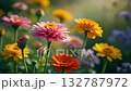 Macro timelapse of various colorful flowers blooming gracefully, soft natural lighting, shallow depth of field, cinematic timelapse motion, photorealistic textures 132787972