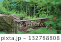 A bench in the middle of a dense forest with a view of the Karkonosze Mountains from the Sokolik Duzy peak. Poland, Lower Silesia 132788808