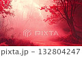 紅色薄霧森林小路 132804247