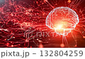 大腦和神經網絡 132804259